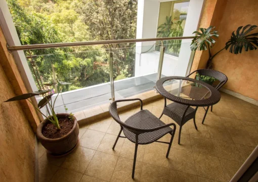 Superior One Bedroom Apartment
