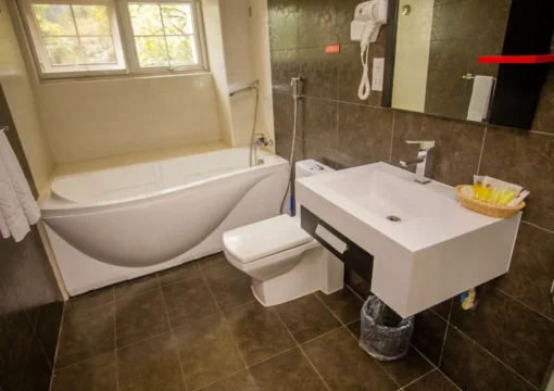 Superior One Bedroom Apartment