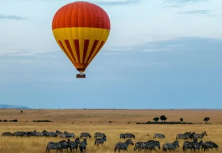KENYA IS CALLING
