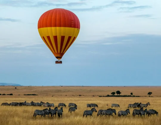 KENYA IS CALLING