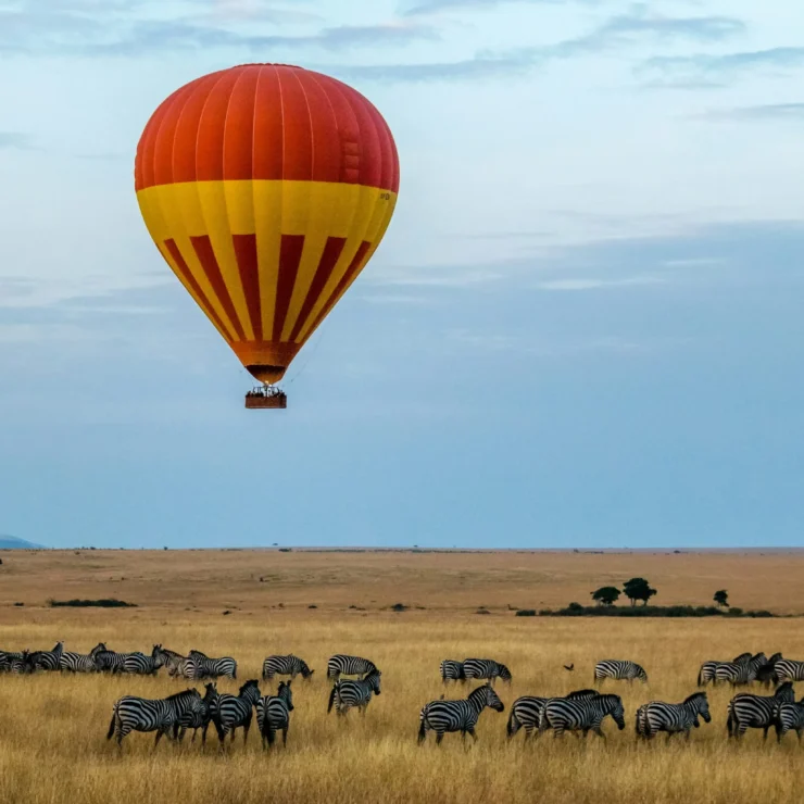 KENYA IS CALLING